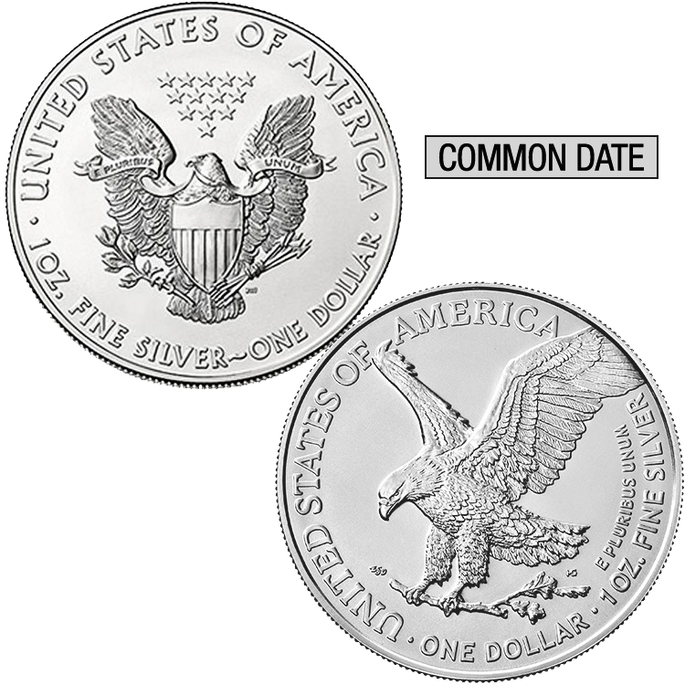 500 oz Sealed Mint Case American Silver Eagle