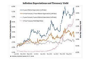 See full story: The Asininity of Inflation Expectations, Once Again By Powell and the Fed