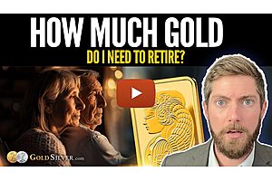 See full story: How Much Gold Do I Need To Retire? 1oz Per Month?