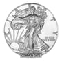 1 oz American Silver Eagle Coin (Common Date)
