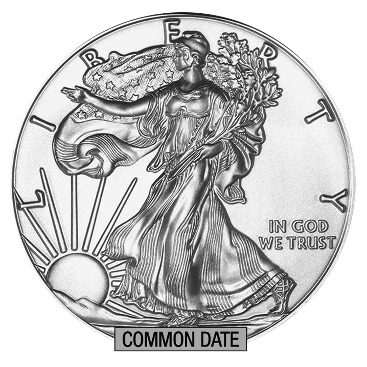1 oz American Silver Eagle Coin (Common Date)
