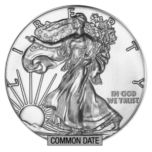 1 oz American Silver Eagle Coin (Common Date) front