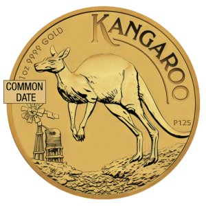 1 oz Australian Kangaroo Gold Coin (Common Date) front