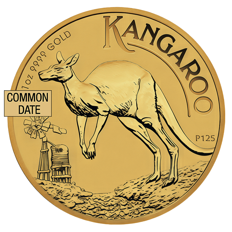 1 oz Australian Kangaroo Gold Coin (Common Date) front