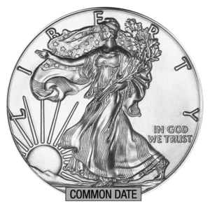 1 oz American Silver Eagle Coin (Common Date) front