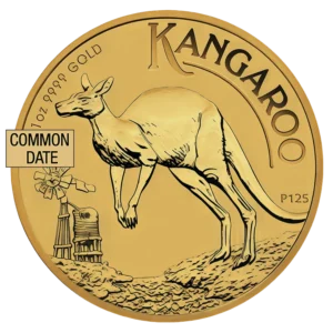 1 oz Australian Kangaroo Gold Coin (Common Date) front