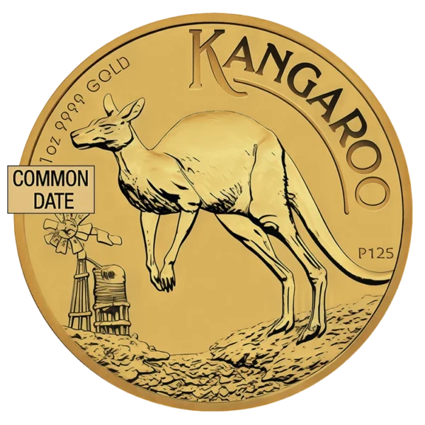 1 oz Australian Kangaroo Gold Coin (Common Date) front
