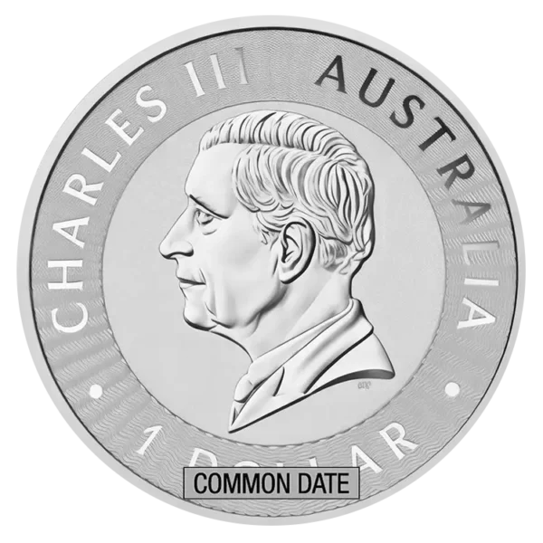 1 oz Australian Silver Kangaroo Coin