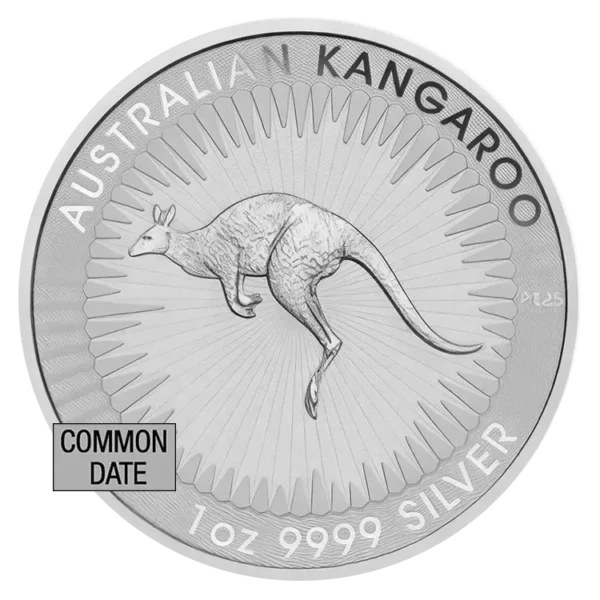 1 oz Australian Silver Kangaroo Coin