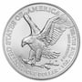 1 oz American Silver Eagle Coin (2024)